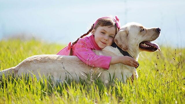 Senior Pets - We love them!