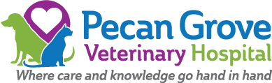 Logo for Pecan Grove Veterinary Hospital with silhouettes of a dog and cat beside a heart, and the tagline, "Where care and knowledge go hand in hand.